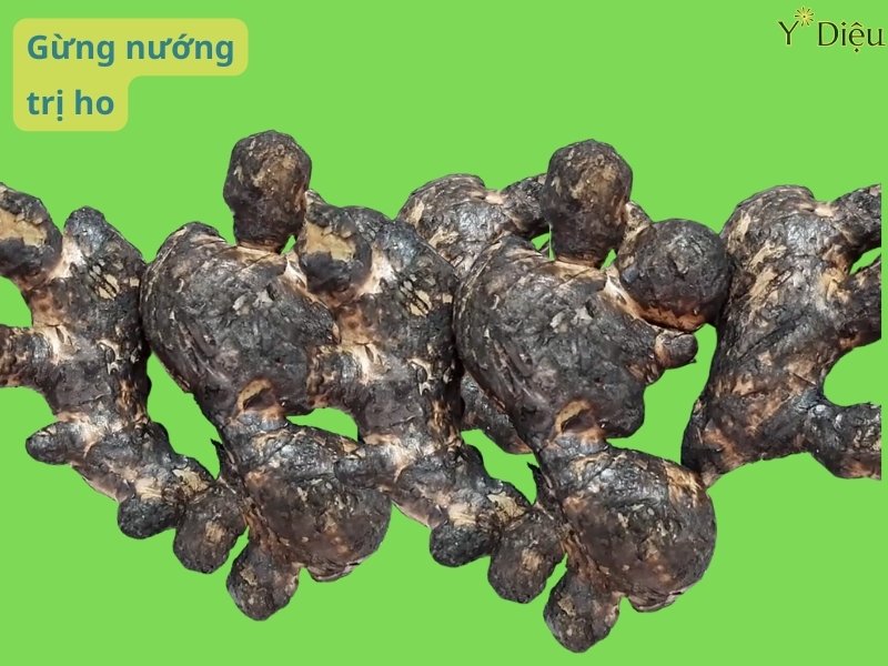 Cách trị ho bằng gừng nướng là phương pháp được dùng rộng rãi trong Đông y